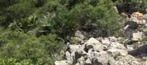 قطعة أرض في Pedreguer, Spain 854متر مربع رقم 190549 2