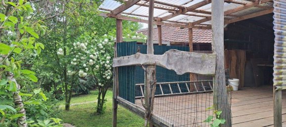 3 rooms House in Deutsch Schutzen-Eisenberg, Austria No. 136467 9