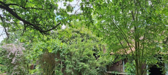 3 rooms House in Deutsch Schutzen-Eisenberg, Austria No. 136467 4