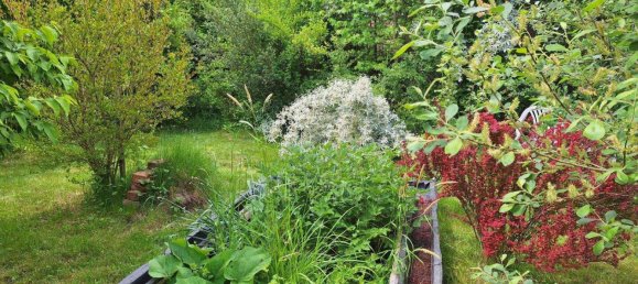 3 rooms House in Deutsch Schutzen-Eisenberg, Austria No. 136467 2