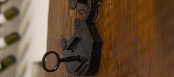 1 bedroom House in Kirchberg am Wagram, Austria No. 197390 30