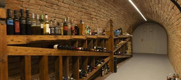 1 bedroom House in Kirchberg am Wagram, Austria No. 197390 26