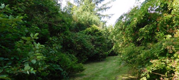 7غرفة تاون هاوس في Cuxhaven, Germany رقم 340593 6