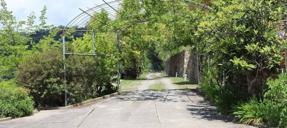 4 Schlafzimmer Villa in Dolceacqua, Italy, Nr. 223516 32