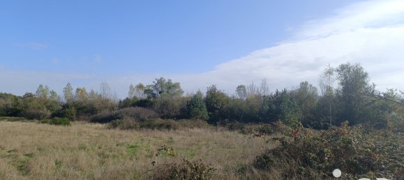  Land in Pruniers-en-Sologne, France No. 213852 4