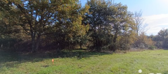  Land in Pruniers-en-Sologne, France No. 213852 28