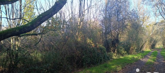  Land in Pruniers-en-Sologne, France No. 213852 5