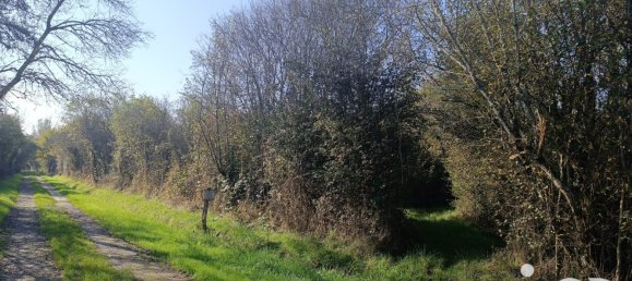  Land in Pruniers-en-Sologne, France No. 213852 7