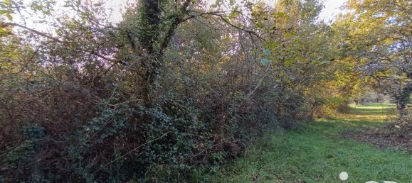  Land in Pruniers-en-Sologne, France No. 213852 16