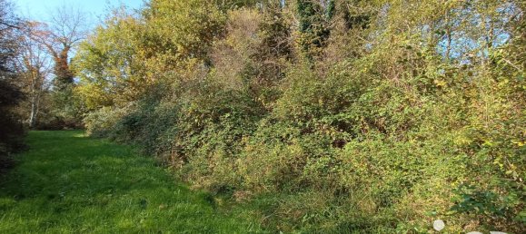  Land in Pruniers-en-Sologne, France No. 213852 22