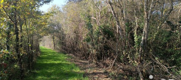  Land in Pruniers-en-Sologne, France No. 213852 2