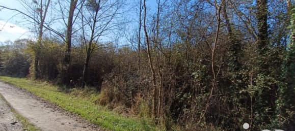  Land in Pruniers-en-Sologne, France No. 213852 9