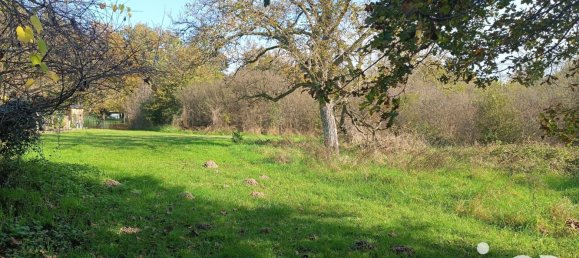  Land in Pruniers-en-Sologne, France No. 213852 14