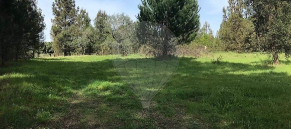  Land in Canas de Senhorim, Portugal No. 49812 3