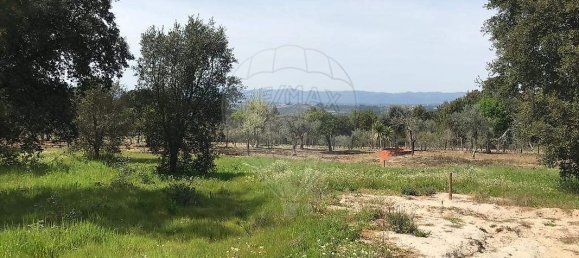  Land in Canas de Senhorim, Portugal No. 49812 11