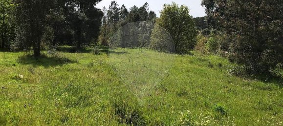  Land in Canas de Senhorim, Portugal No. 49812 6