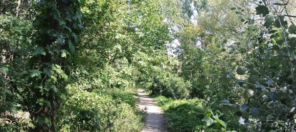 Apartamento de 2 divisões em Berlin, Germany N.º 9877 14