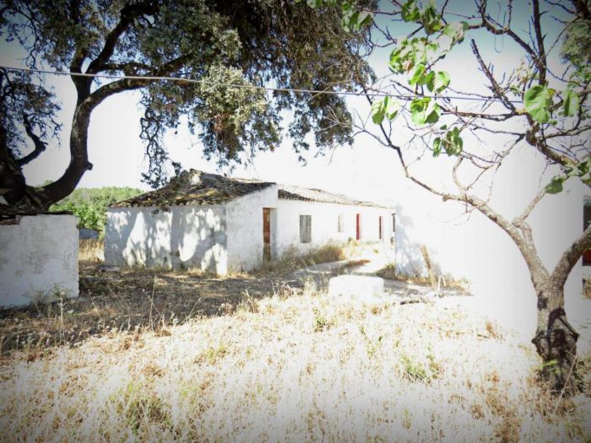 Grundstück in Tavira, Portugal 26564m², Nr. 8626