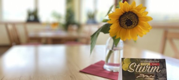 Hotel en Finkenstein am Faaker See, Austria No. 233404 14