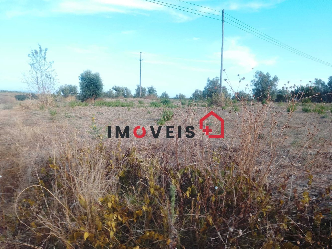 4920m² Land in Santarem, Portugal No. 345105
