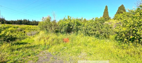 4 chambres Maison à Giarre, Italy No. 150213 17