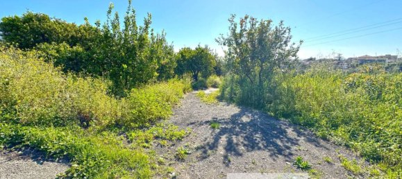 4 chambres Maison à Giarre, Italy No. 150213 18