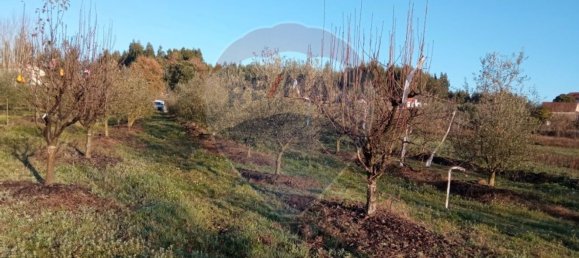 4680m² Land in Beco, Portugal No. 71211 10