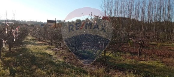 4680m² Land in Beco, Portugal No. 71211 12