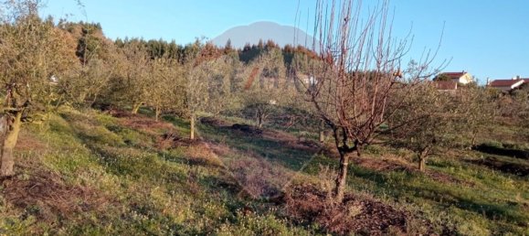 4680m² Land in Beco, Portugal No. 71211 8