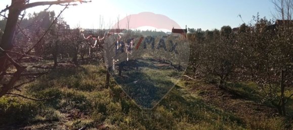 4680m² Land in Beco, Portugal No. 71211 2