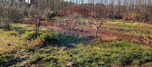 4680m² Land in Beco, Portugal No. 71211 4