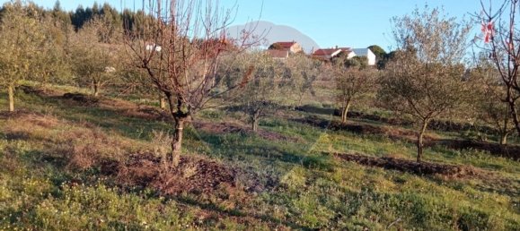 4680m² Land in Beco, Portugal No. 71211 9
