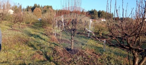 4680m² Land in Beco, Portugal No. 71211 11