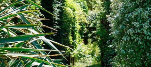 5 chambres Villa à Garches, France No. 327614 7