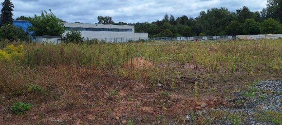  قطعة أرض في Saarpfalz, Germany رقم 361295 7