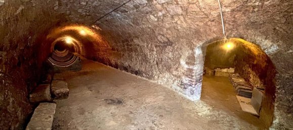  عقار تجاري في Sitzendorf an der Schmida, Austria 160متر مربع رقم 137155 9