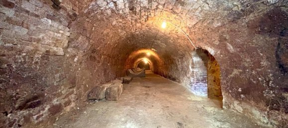  عقار تجاري في Sitzendorf an der Schmida, Austria 160متر مربع رقم 137155 10