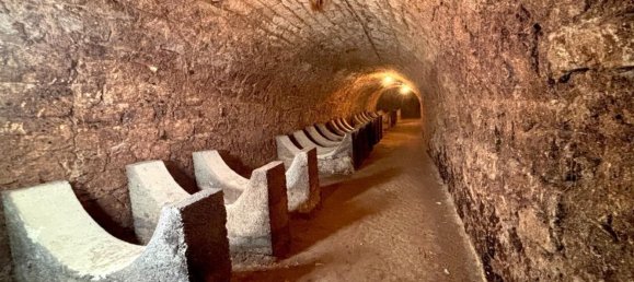  عقار تجاري في Sitzendorf an der Schmida, Austria 160متر مربع رقم 137155 8