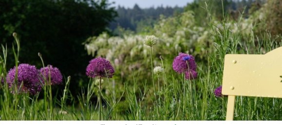 13غرفة فيلا في Wunsiedel, Germany رقم 63023 10