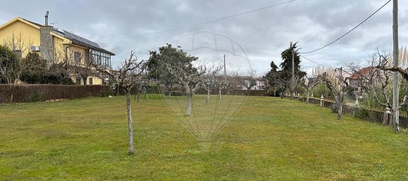 Casa de 5 dormitorios en Macedo de Cavaleiros, Portugal No. 173289 5