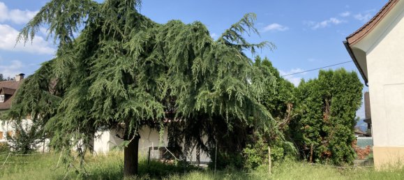 5 rooms House in Feldkirch, Austria No. 233733 7