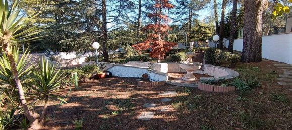 2 bedrooms Villa in Cassano delle Murge, Italy No. 220693 22