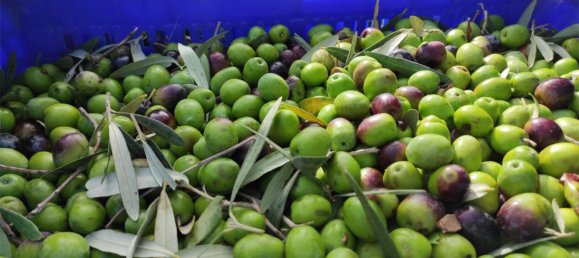 4 bedrooms House in Valencia, Spain No. 211334 8