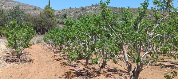 4 bedrooms House in Valencia, Spain No. 211334 17