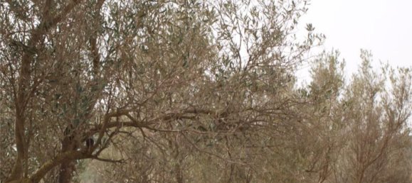 4 bedrooms House in Valencia, Spain No. 211334 18