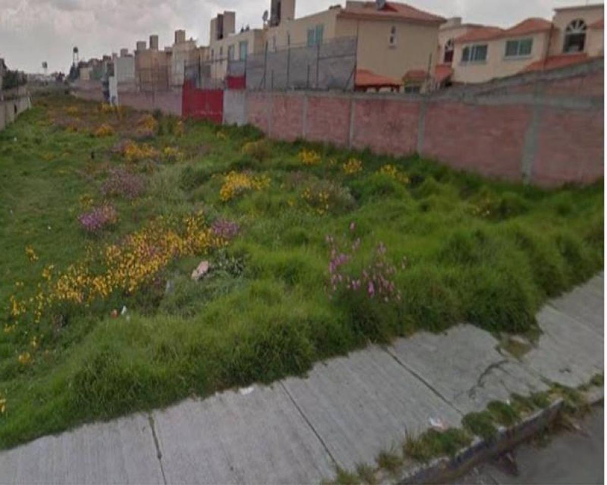  قطعة أرض في Mexico رقم 207045