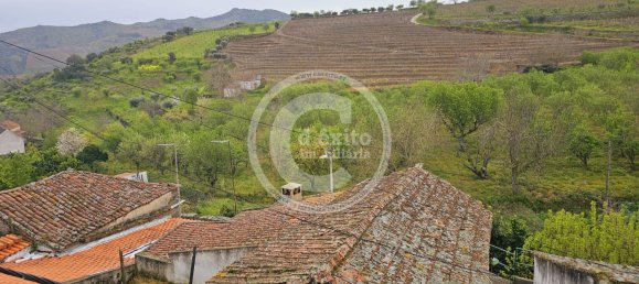 3 Schlafzimmer Haus in Sao Joao da Pesqueira, Portugal, Nr. 169523 21