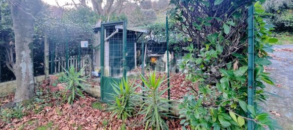 3 bedrooms Apartment in Varazze, Italy No. 222099 13