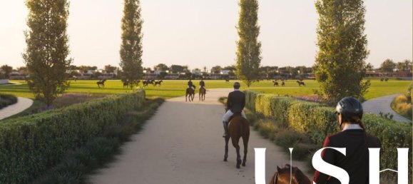 4 bedrooms Villa in Dubai Investment Park, UAE No. 101819 9