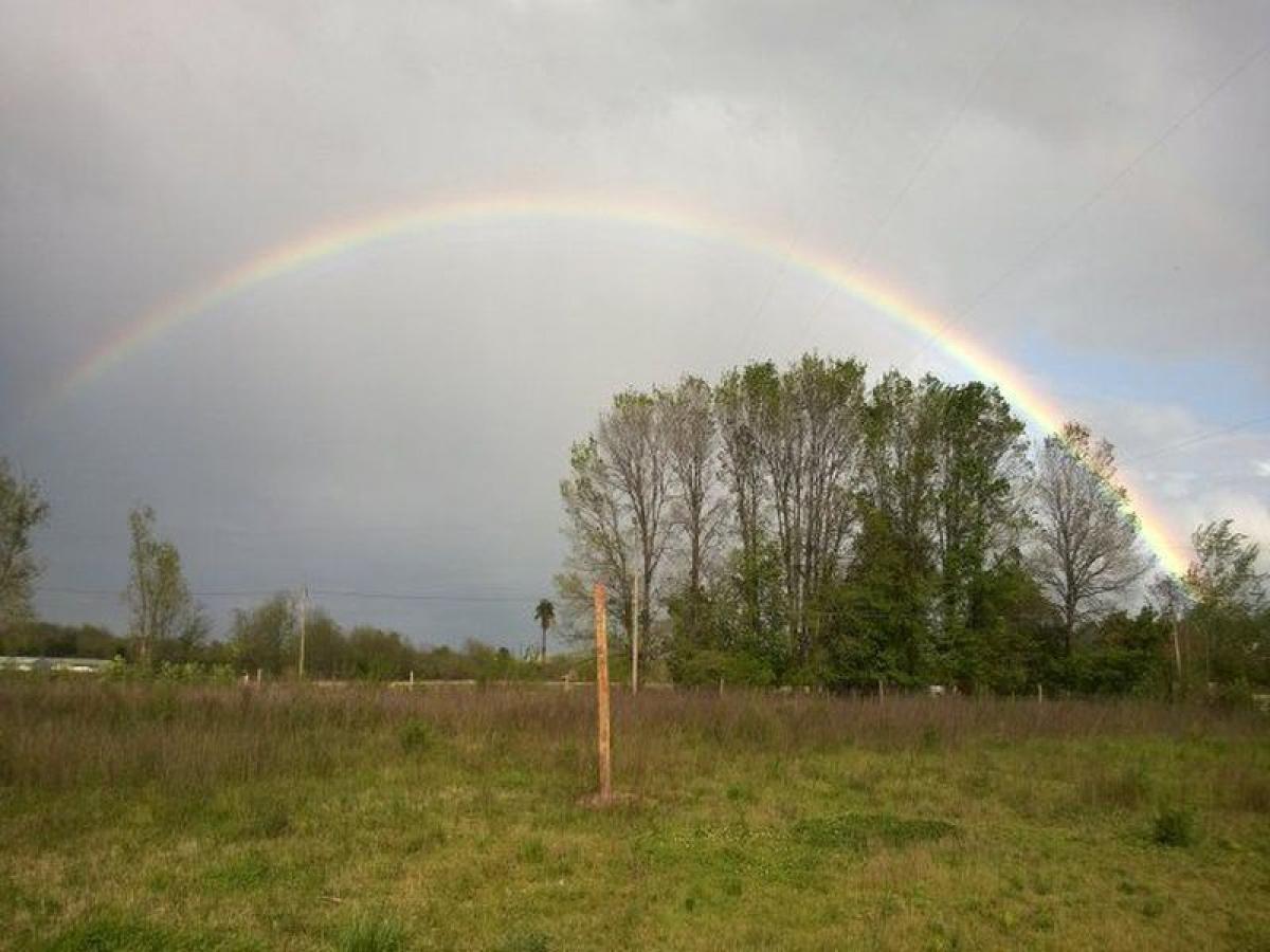  Farm in Lobos, Argentina No. 34976